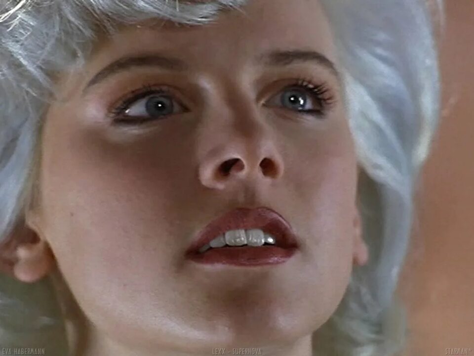 Conservacy Countersinks Shacklers Franchisement Leukorrhoeal